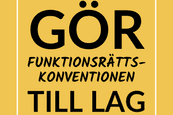 Gör funktionsrättskonventionen till lag!